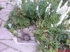 DSC00060.jpg