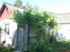 DSC00041.jpg