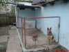 DSC00077.jpg