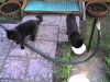 PIC_0064.jpg