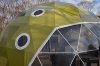 ecopod-holiday-retreat_1_PISzK_69.jpg