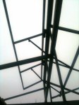 IMG_5630.JPG