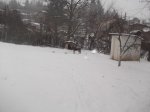 DSCF1613 (Копировать).jpg