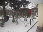 DSCF1615 (Копировать).jpg