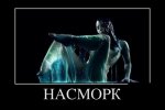 рнр.jpg