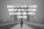 2721566.jpg