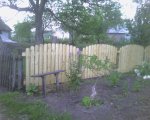 Photo-0288.jpg