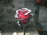 IMG_0600.jpg