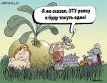 п654.jpeg