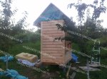 tmp_20130720_202832-719601791.jpg