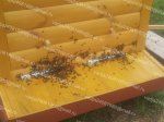 tmp_20130814_1112511330344993.jpg