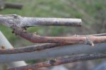 DSC07170.JPG