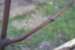 DSC07169.JPG