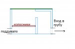 8092447.jpg