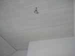 DSC07027.JPG