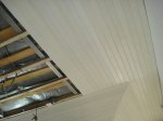 DSC07029.JPG