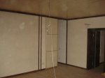 DSC07703.JPG