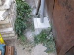 IMG_2072.JPG
