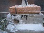 IMG_2128.JPG