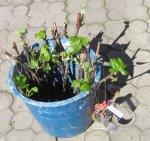 IMG_2007.JPG