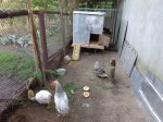 DSC00069.JPG