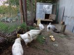 DSC00071.JPG