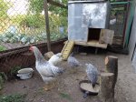 DSC00072.JPG