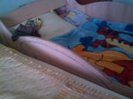 IMG_20130818_131920.jpg