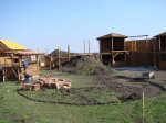 DSC07894.jpg