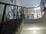 IMG_5678.jpg