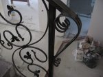 IMG_5720.jpg