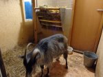 DSC00275.JPG