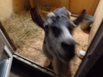 DSC00274.JPG