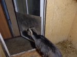 DSC00280.JPG