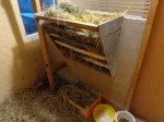 DSC00281.JPG