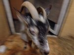 DSC00283.JPG