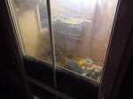 DSC00298.JPG