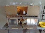 DSC00342.JPG