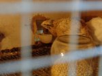 DSC00345.JPG