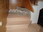 DSC07288.JPG