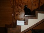 DSC08660.JPG