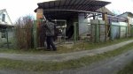 GOPR1927__Разбираем забор из сетки.jpg