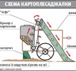 сажалка.jpg