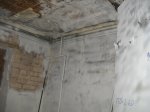 DSCN5908.JPG