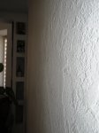 IMG_1550.JPG