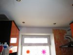 IMG_1487.JPG