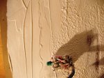 IMG_5071.JPG