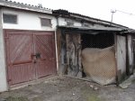 DSC05666.JPG
