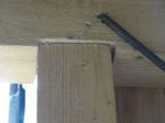 DSC05692.JPG