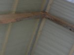 DSC05680.JPG